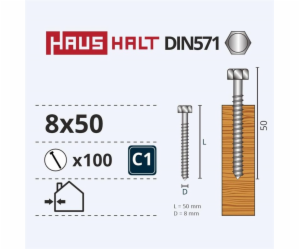 Vruty do dřeva Haushalt, DIN571, 8,0 x 50 mm, ZN, 100 ks.