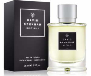 David Beckham Následuj svůj instinkt EDT 50 ml