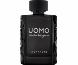 Salvatore Ferragamo Uomo Signature EDP 100 ml