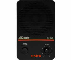 Sloup Fostex 6301DT 20 W