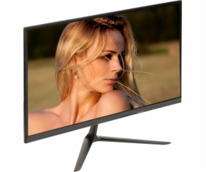 Monitor VM-2411W-P