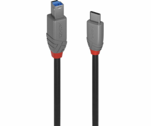 Lindy USB-C – USB-B kabel USB 1 m černý (36666)