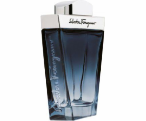 Salvatore Ferragamo Subtil EDT 100 ml