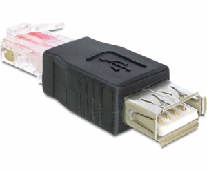 Delock USB adaptér 65234 USB - RJ45 černý (65234)