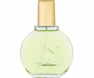 Gloria Vanderbilt Jardin a New York EDP 100 ml