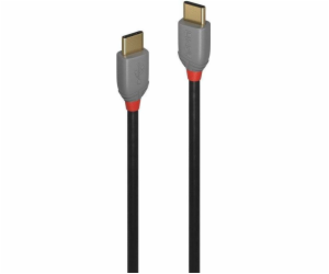 Lindy USB-C – USB-C USB kabel 1 m šedý (36871)