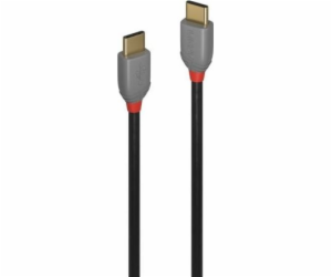 Lindy USB-C - USB-C USB kabel 3 m Černošedý (36873)