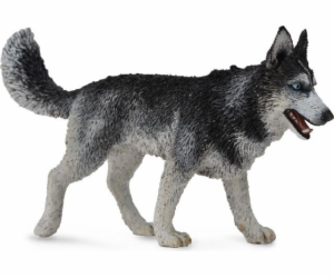 Figurka Collecta sibiřský husky pes (004-88707)