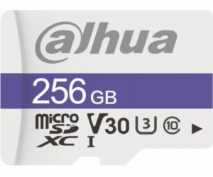 Paměťová karta DAHUA TF-C100/256GB 256GB