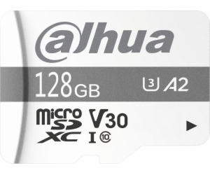 Paměťová karta DAHUA TF-P100/128G 128GB