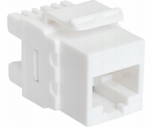 RJ45 KEYSTOSTONE MODULA Kategorie 6 UTP CCAS-K6-UTP