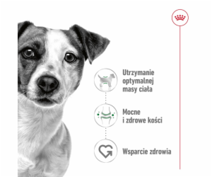 ROYAL CANIN Mini Adult - mokré krmivo pro psy - 12 x 85g