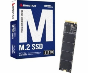 SSD Biostar M760 512GB