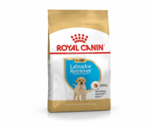 ROYAL CANIN SHN Breed Labrador Junior suché krmivo pro ps...