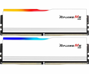 G.Skill DIMM 64 GB DDR5-5600 (2x 32 GB) duální sada, RAM