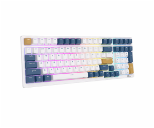 Mechanical keyboard Royal Kludge RK98 RGB, Red switch (blue)