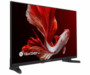 32" Gogen TVH 32P381T