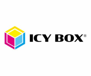 ICY BOX IB-2924MSCL-C31 Clone Docking M.2