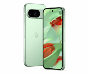 Google Pixel 9 (256GB) wintergreen