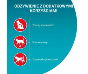 PURINA One Sterilcat Wołowina suché krmivo pro kočky 9,75kg