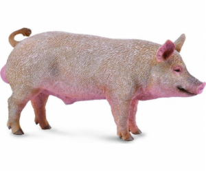 Collecta figurka BOAR