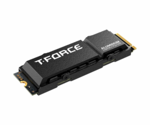 Team Group T-FORCE G70 Pro 1TB, SSD