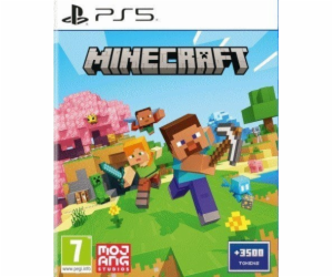 PS5 - Minecraft