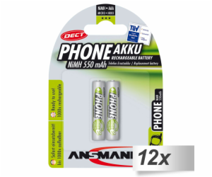 12x2 Ansmann maxE NiMH Akku Micro AAA 550 mAh DECT PHONE