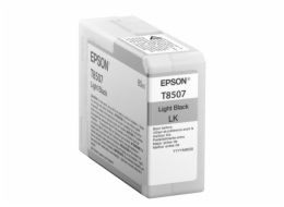 Epson cartridge svetle cerna T 850 80 ml               T 8507