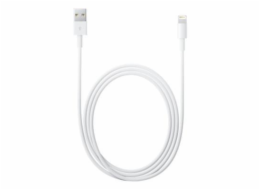 Apple Lightning to USB Cable (1m)