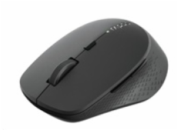 Rapoo M300 Dark gray Multi-Mode Wireless Mouse