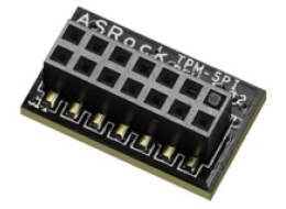 ASRock TPM-SPI