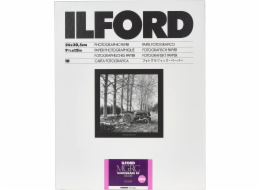 1x 10 Ilford MG RC DL  1M  24x30