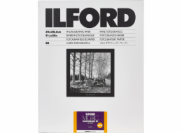 1x 50 Ilford MG RC DL 25M  24x30