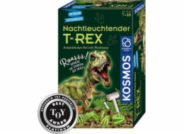 Nachtleuchtender T-REX, Experimentierkasten