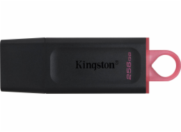 Kingston DataTraveler Exodia 256 GB, USB-Stick DTX/256GB