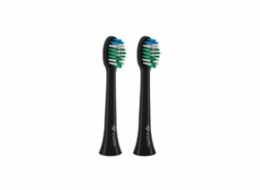 TrueLife SonicBrush Compact Heads Black Standard