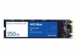 WD Blue SA510/1TB/SSD/M.2 SATA/5R