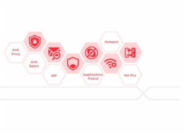 LIC-BUN, 1 Month for co-termination, Content Filtering/Anti-Spam/Anti-Virus Bitdefender Signature/IDP/SecuReporter Premi