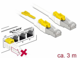 DeLOCK RJ45 Secure Cat. 6A, kabel