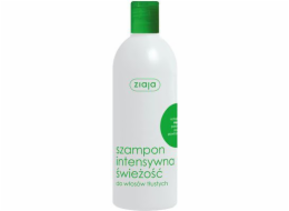 Šampon Ziaja Intensive Fresh Mint 400 ml