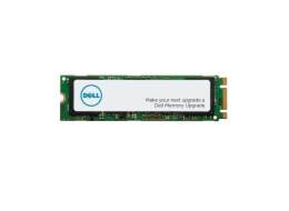 DELL M.2 PCIe NVME Class 40 2280 Solid State Drive - 1TB