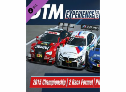 ESD RaceRoom DTM Experience 2015