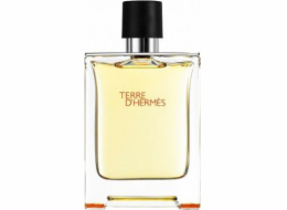 Hermes Terre d Hermes EDT 200 ml