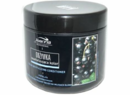 Joanna Professional Styling Care Revitalizační kondicionér popelavá barva 500 g