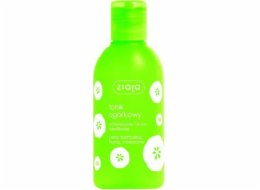 Obličejové tonikum Ziaja Cucumber Series 200 ml