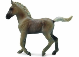 Collecta figurka Rocky Mountain Foal (COLL0509)