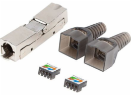 LANBERG 2x RJ-45 FTP cat 6A plug 8P8C tool-less adapter