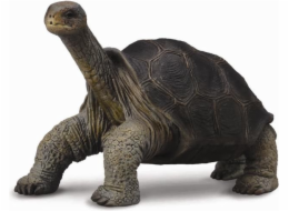 Collecta Turtle Collecta Figurine z ostrova Pinta (004-88619)