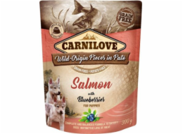 Carnilove Brit Carnilove lososové borůvky Salmon non -berge pro štěňata 300 g